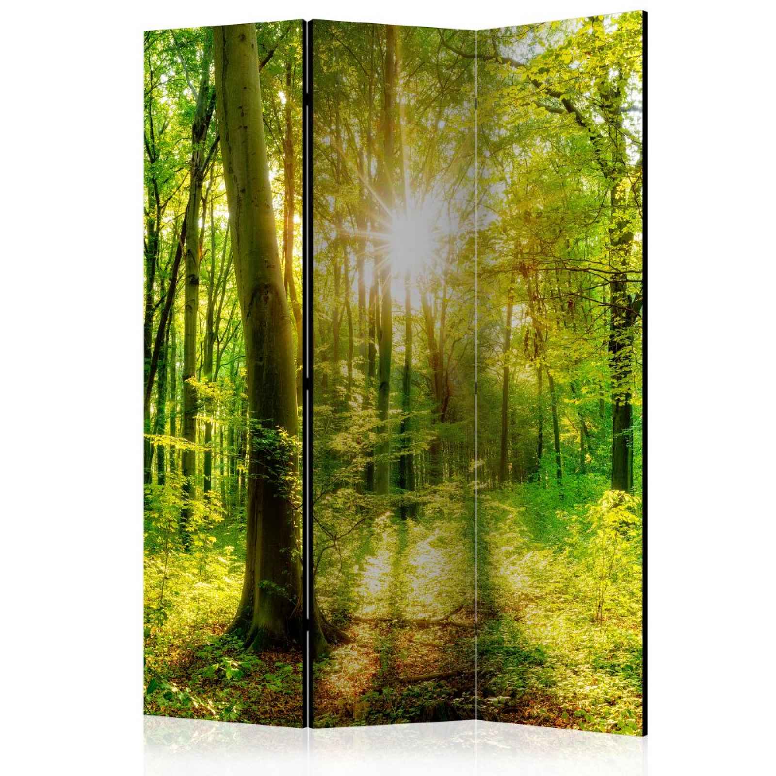 Paraván Forest Rays Dekorhome 135x172 cm (3-dílný)