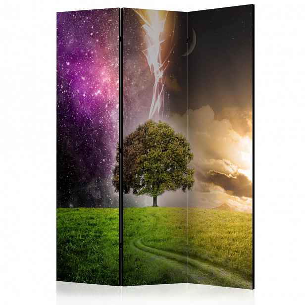 Paraván Magic Tree Dekorhome 135x172 cm (3-dílný)