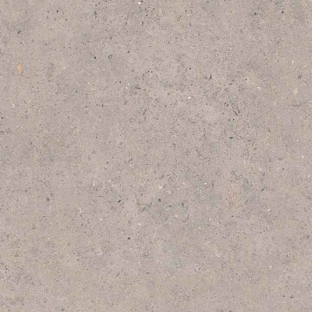 Dlažba Pastorelli Biophilic grey 60x60 cm mat P009455