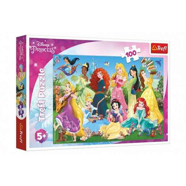 Puzzle Půvabné princezny/Disney 100 dílků 41x27,5cm v krabici 29x19x4cm