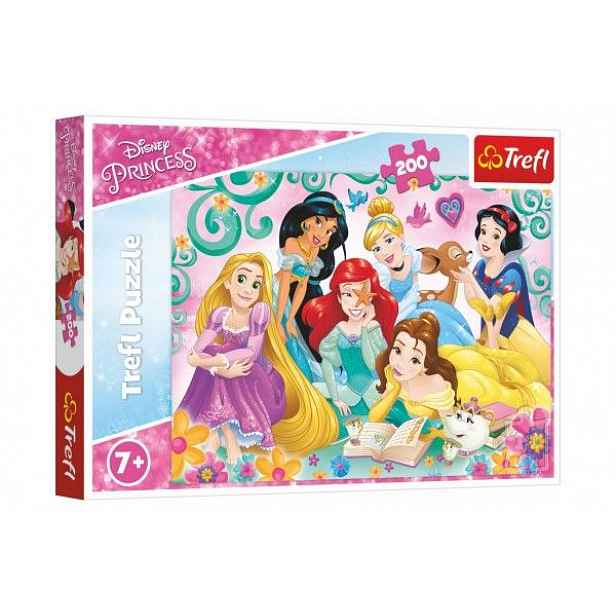 Puzzle Šťastný svět princezen/Disney Princess 200 dílků 48x34cm v krabici 33x23x4cm