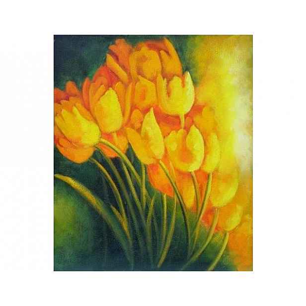 Obraz - Žluté tulipány 1 - 50 cm x 60 cm